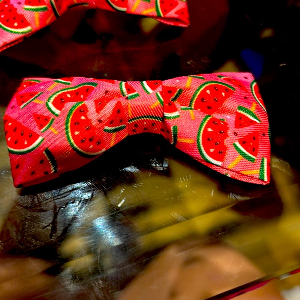 Dog or cat bow tie